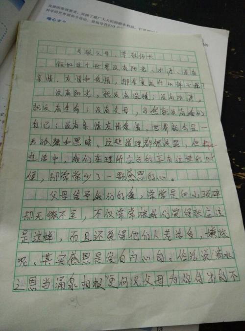 高三写景区，春季_900字