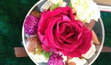 生命的芳香_550字