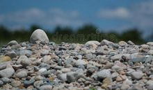 鹅卵石的精神_650字