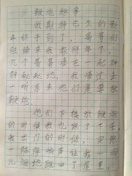 我的兔子_100字