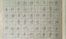 我的兔子_100字