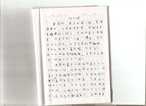 我们的童年_800字