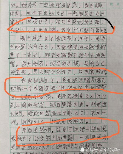 我们的班级英语老师_300字