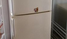 我家的电冰箱_550字