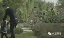 被幸福遗忘的孩子_300字