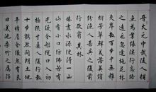 失败的教训_650字