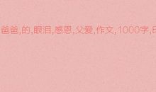 眼泪_1000字
