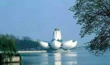 第三只轮子_1200字