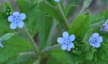 秋天令我回味无穷_1000字