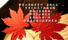 秋日的怀念_300字