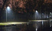 春雨诗意_1000字