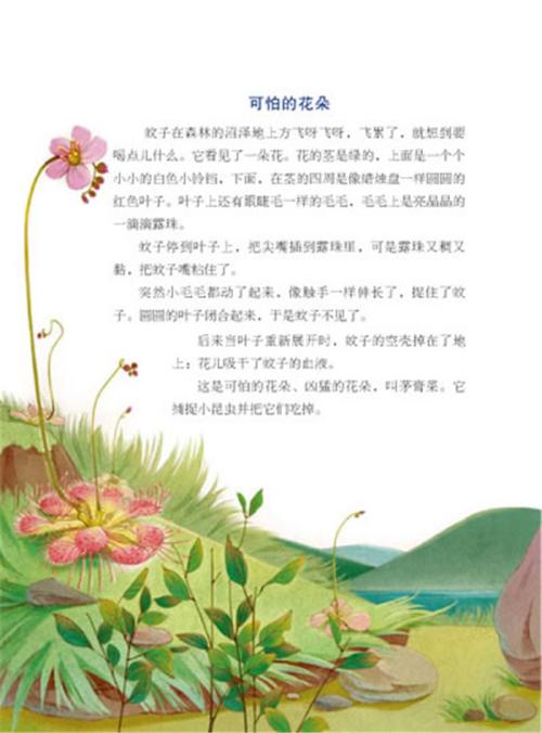 春夏秋天和冬天_50字