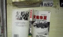 天若有情天佑华夏_800字