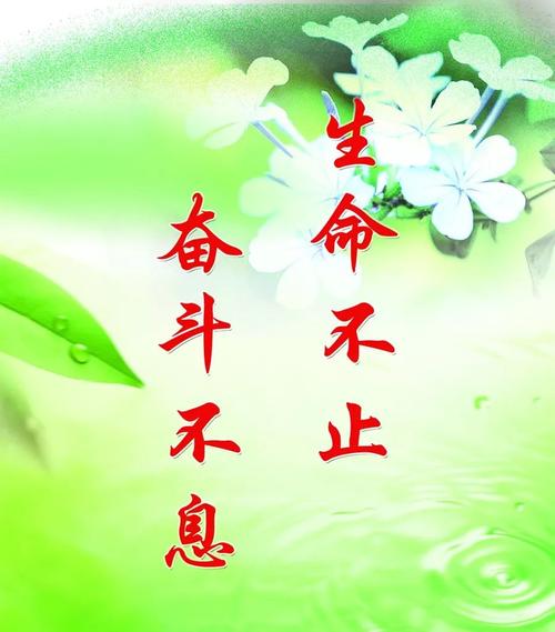 微笑的一天_900字