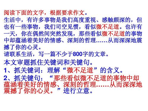 希望在地震中_800字