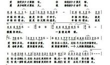 幸福的插曲_900字