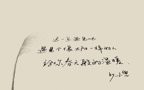 遇见眼睛_700字