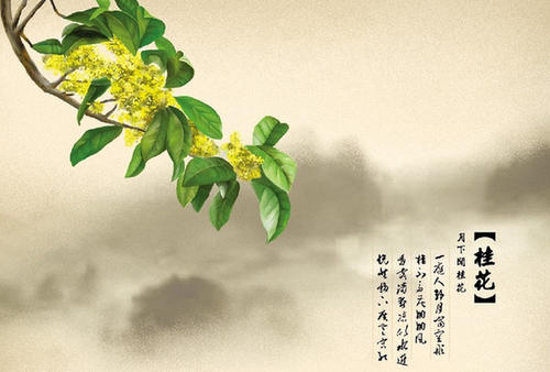 旋转花秘密_800字