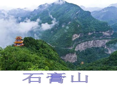 我作为一个导游_350字