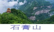 我来当导游_350字