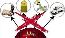 “卫星”小制作_200字