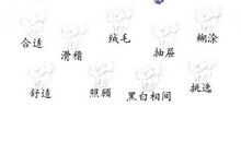 卡罗尔的小猫_300字