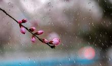 即使没有伞，也要奔跑_1500字