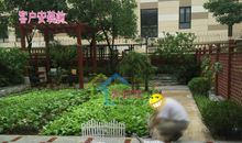 学校的花坛_100字