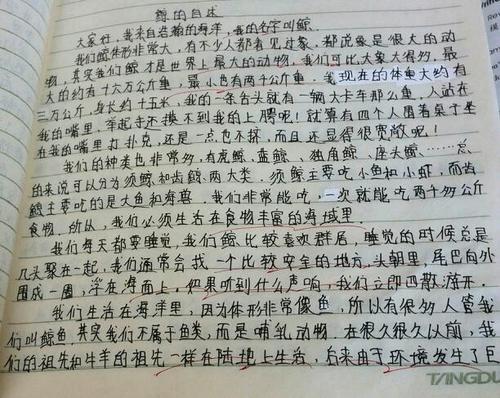 一年级计算：橡皮擦_350字
