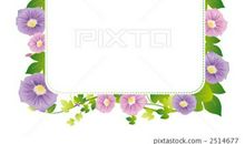 一年级状物作文：我爱我家的牵牛花_450字