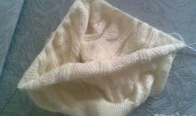 一年级状物作文：小锦鱼_100字