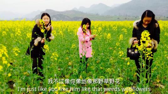 一年级组成：美丽的强奸花_200字
