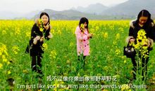 一年级状物作文：美丽的油菜花_200字