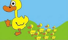 我家的小鸭子_400字