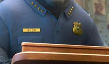 我最喜欢的动物——牛_150字