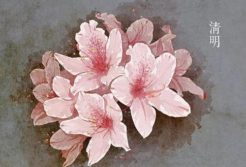 世界上一朵花_1000字