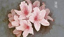 一花一世_1000字