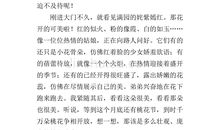 初三写景作文：生活中不乏美丽的风景_800字