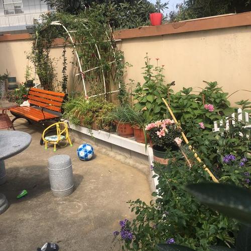 我的家人的小花园_550字
