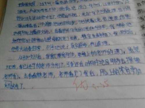 老师蔡_600字