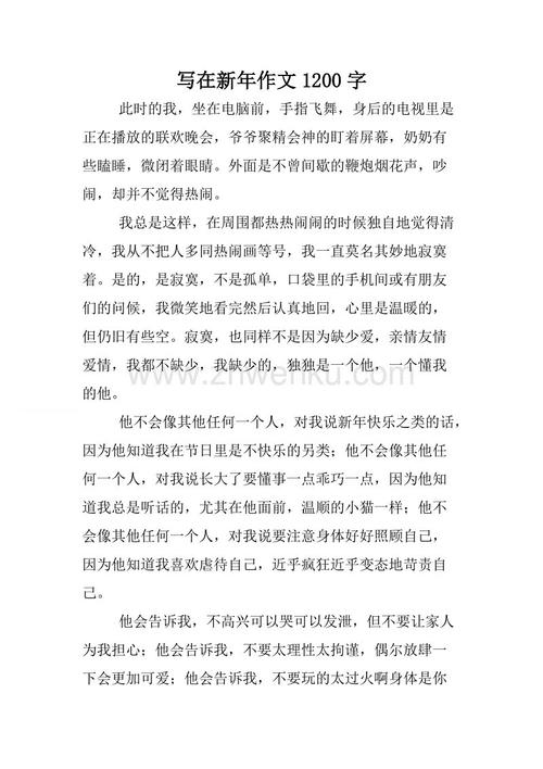 写在新的一年_1200字