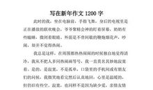 写在新年_1200字