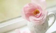 淡淡存在，淡淡离开