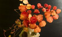 新年习俗随想_1500字