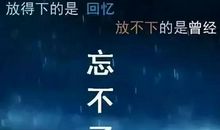 我忘不了那被风吹过的夏天_500字