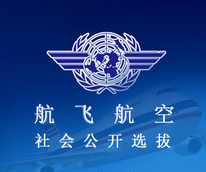 只是想飞行_250字