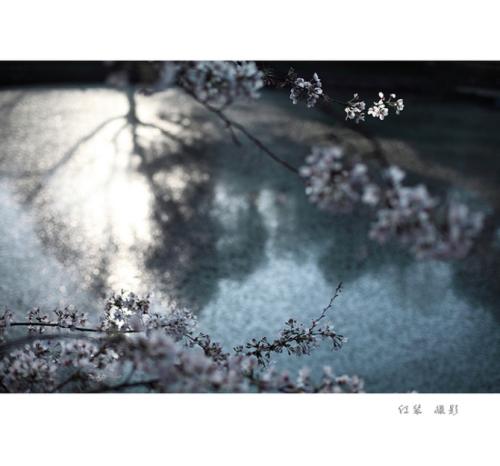 梦想飞行_1200字