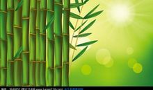 关于阳光的作文：早晨的阳光_800字