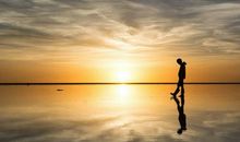 我真希望有一片属于我自己的天空_400字