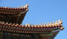 学会历史般的旁观_650字